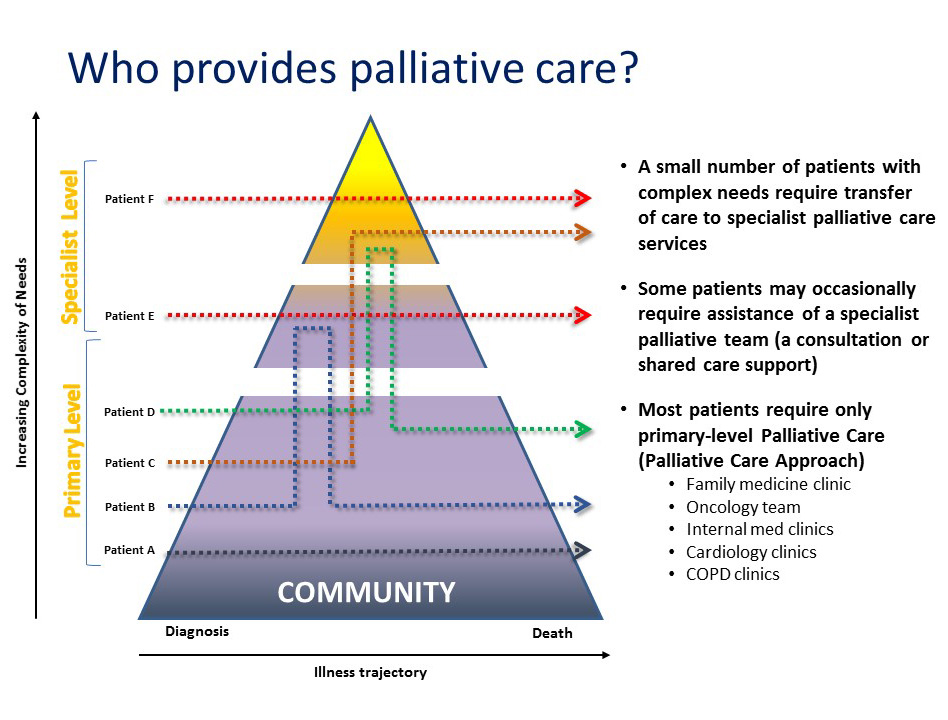 implementing-a-palliative-approach-to-care-hpc-consultation-services